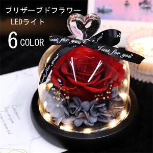 y5158~5055~ P2!z6FWJ@a FB Mtg  uU[ht[ KXh[ LO av[g ͂Ȃ t[AWg [Y }`bN b