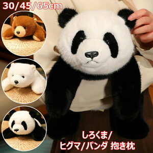 y2328~2281~ P2!zp_ ʂ  낭 qO}  GObY zc 30/45/65cm  킢 낭ܕ qO} @\ Ƃ̑  w R