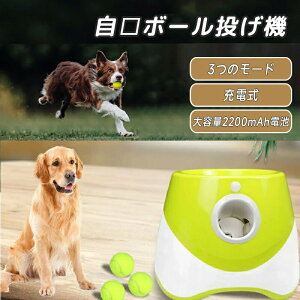 y8459~8290~ P2!z  {[  ybg{[@  {[`[ybgpp3[hO[hbO{[`[   {[  {[