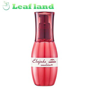 ~{ fB[ZX GW[_ G}W+ 120mly~{zywAg[ggz