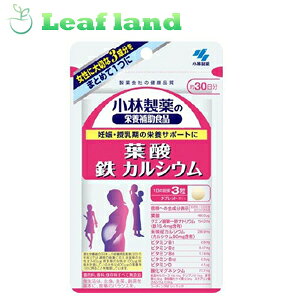 y4ZbgIzy[֑Izѐ̉h{⏕Hi t_ S JVE 90yѐz