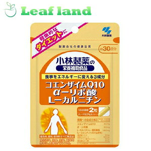 y3ZbgIzy[֑Izѐ̉h{⏕Hi RGUCQ10-|_L-Jj` 60yѐz