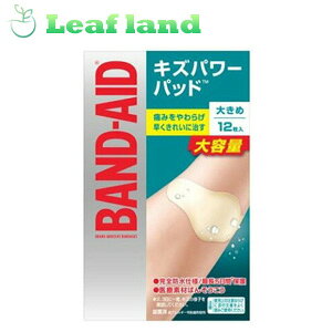 y3ZbgIzy[֑IzohGCh LYp[pbh 傫߃TCY 12yohGCh(BAND-AID)z[Jnp]y[֍ő5܂Łz