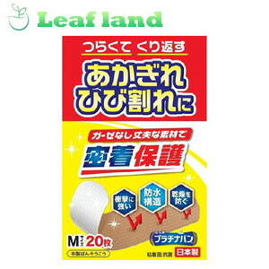 y3ZbgIzy[֑Izv`io No.323 M(20)yAizy[֍ő6܂Łz