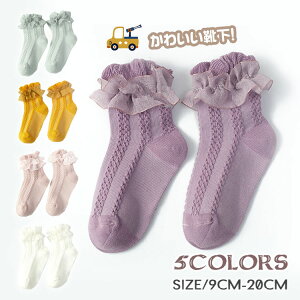 y3ZbgzC LbY q j̎q ̎q 3g WjA Ԃ [X N[\bNX  ǂ ʊw ʉ ւ ۈ牀 ct  w  ObY   