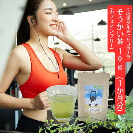 ポイント最大46倍!! 野草茶 送料無料 【 そうかい茶 10g（約1か月分）】旧 だるいのバイバイ茶 朝スッキリ カフェインレス お茶 国産 野草茶 100% 農薬不使用 デカフェ 内祝い 出産祝い 誕生日 購入 通販 6月 夏 ダイエット