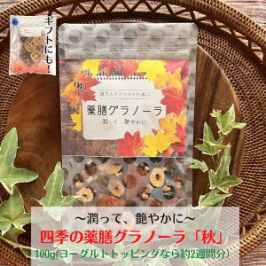 BLACK FRIDAY20%offN[|! 쑐 A y lG V Om[ H̃Vsz`XA₩Ɂ`@  It Nɂ ȒP ֗ ngM  ̎ 