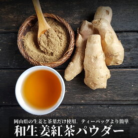 3商品で10%offクーポン! お湯に溶かすだけ!【和生姜紅茶パウダー】無添加 ポカポカ おいしい 栽培期間中農薬不使用 手軽 ギフト 母の日 父の日 送料無料 購入 通販 2月 冬ダイエット