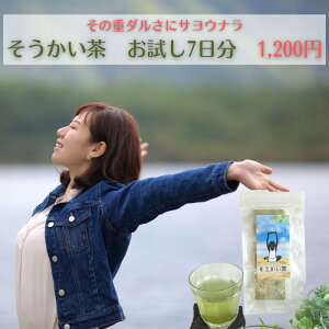 3i10%offN[|! 쑐 y   7z 邢 ̃oCoC XbL JtFCX Y 쑐 100% _sgp fJtF j oYj a w 