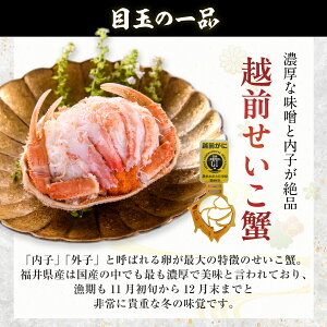 yⓀz zO I b 2026 1t 70g I Jj   ZCR { CN J^X