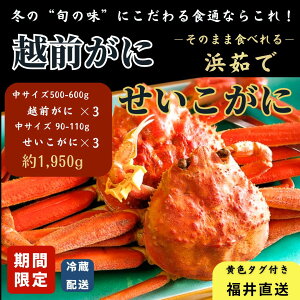 y󂠂zzOY l䥂 zO :܂ 6ZbgiIX500`600g×3EX90`110g×3jd1770`2130gbF^Otb①yYCKj Jj I p 䌧z