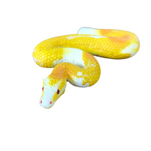 ~j`A@ArmLOpC\(68485)@tBMA WI} wr 