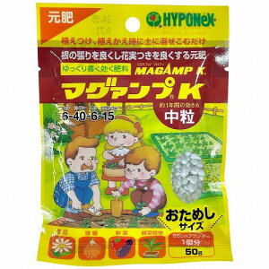 }O@vK  50g@엿 At Aւ nC|lbNX ߂TCY