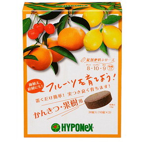 ܔ엿 񂫂Eʎp 30y엿zyuzyzyzynC|lbNXz