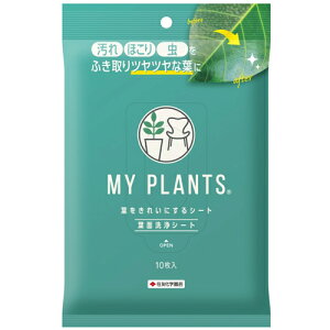ϗtA@ZFw| MY PLANTS(}Cvc) tꂢɂV[g(䎆) 10@ ق  @