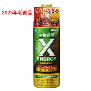 GbNXGiW[ X-ENERGY 600ml@ZFw| ͉t Ao oCIXeB~g 2025Vi