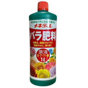 ́@lf[o엿t 1L@o lf[ C v