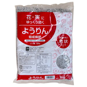 엿@oӔ 1kg@yΊD y 悤 E