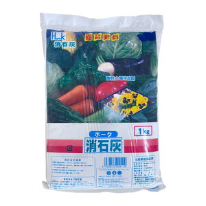 yǍށ@ΊD 1kg {O[T[rX@ L@ a JVE