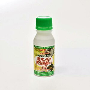 E }cO[t2 100mly}cm}_J~Lzyjb\[z