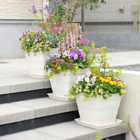 楽天市場 階段 植木鉢 植木鉢 プランター ガーデニング 農業 花 ガーデン Diyの通販 楽天市場 階段 植木鉢 植木鉢 プランター ガーデニング 農業 花 ガーデン Diyの通販