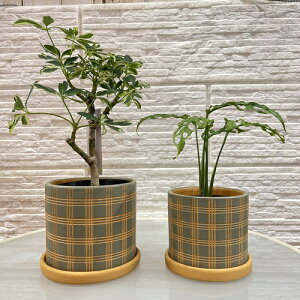 ���@�v�����^�[�@�f���L ���b�^�|�b�g KL86GR(S�T�C�Y���a��90mm�@L�T�C�Y���a��105mm)�@�����@���킢�� �ϗt�A�� ���A�� �A������