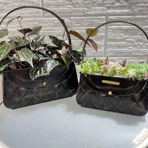 񂹐A@fL@AeB[NuELgobNRT@@@|bg AeB[N  