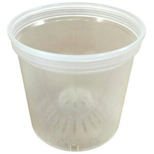 Jolie Nursery X|[ 5/5.5/pX|[ 20cm  1{(ۖ)@W[i[Z[ ŒE\x ϗtA