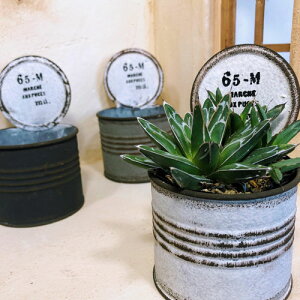 y󂠂zFV@\TgTNJ(a 75mmjyECeAzyuLzyIVzyɂzyyz