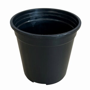 Jolie Nursery ���X�|�[���� 5�� ��/5��������p���X�|�[�� 29cm ��(���ۖ���)�@�W�����[�i�[�Z���[ �ϗt�A�� �x�� �U��