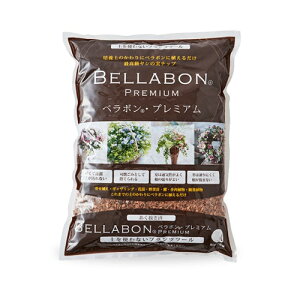 V̎`bv@tWbN x{Ev~A 1L@i  ChAO[ 񂹐A