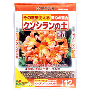 NV̓y 12LyԋʁzyL@zy[ICgzyNqzyԂzyzy4_܂ōwz