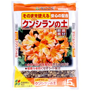 NV̓y 5LyԋʁzyL@zy[ICgzyNqzyԂzyz