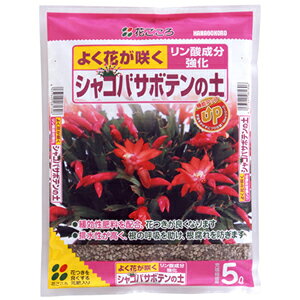 VRoT{e̓y 5Lyԕtzy_zy[ICgzyԂz