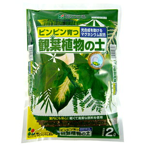 ϗtA̓y 2LytF悭ȂzyzyChAzyԂz