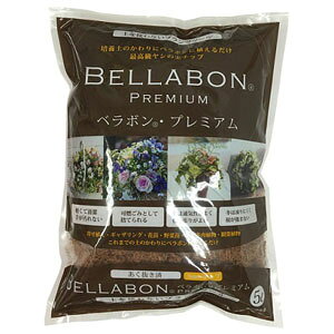 x{Ev~A 5LyV̎`bvzyzytWbNz