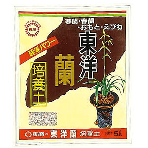 m̓y 5LytzyzyIgzyGrlzyz