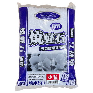 y΁@v~A\C Čy 2L@ A Aւ ֗