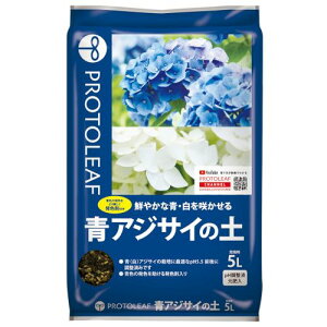 AWTC̓y@5Lyvg[tzyAWTCzyAWTCz