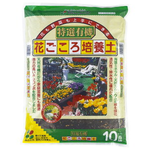 |{y@L@Ԃ|{y 10L Ԃ@L@ IB엿 y RRibct@Co[y5܂ōw\z