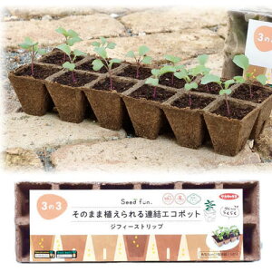 種 植え ポットの人気商品 通販 価格比較 価格 Com