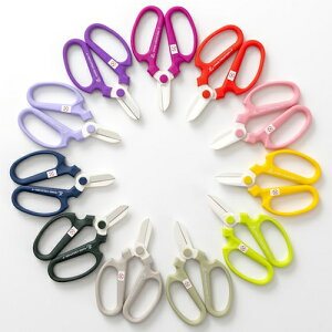 nT~@@nhNG[V F170uX^[ ⌹@|@K[fjO ؂ g₷ ֗