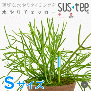 `FbJ[ TXeB[ STCYyyoבΉ(jՓ)zyTXeB[iA\[gOKzLrm`F SUSTEE