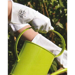 y2܂ŃlR|Xz|p܁@Pearl(p[)yO[uzyaCPz