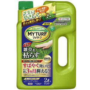 �����܁@�Z�F���w���| �}�C�^�[�t �V�o�j�[�h�V�����[DX 2L�@�G�� �\�h���� �� �͂炷