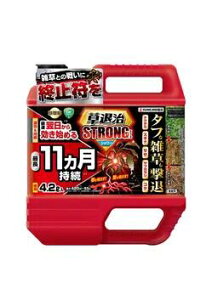 KINCHO���| ���ގ��X�g�����O�V�����[ ���ގ����K�����O�V�����[GT 2L/4.5L
