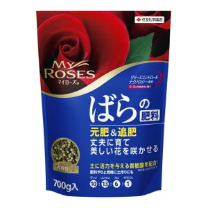 o̔엿(}C[Y) 700gyzyǔzyA_zyZFw|z