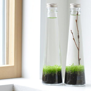 水草 種 Diy 工具の人気商品 通販 価格比較 価格 Com