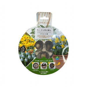  7ɂ҂ ̂܂ܐA邾@Ђ܂̐ 2~bNX ×XJ