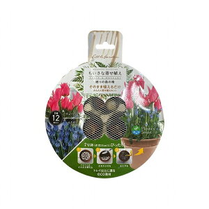  7ɂ҂ ̂܂ܐA邾@̐X̐ 2~bNX `[bv×XJ